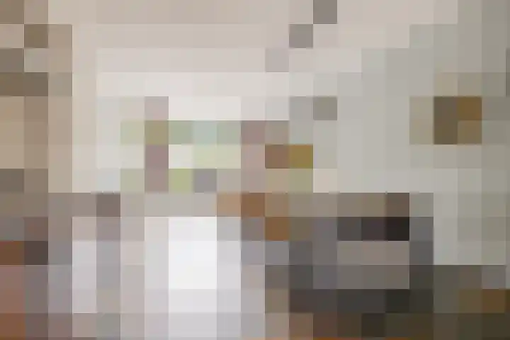 President Kennedylaan 19 Uden thumbnail 11