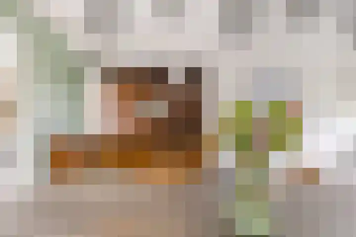 President Kennedylaan 19 Uden thumbnail 12
