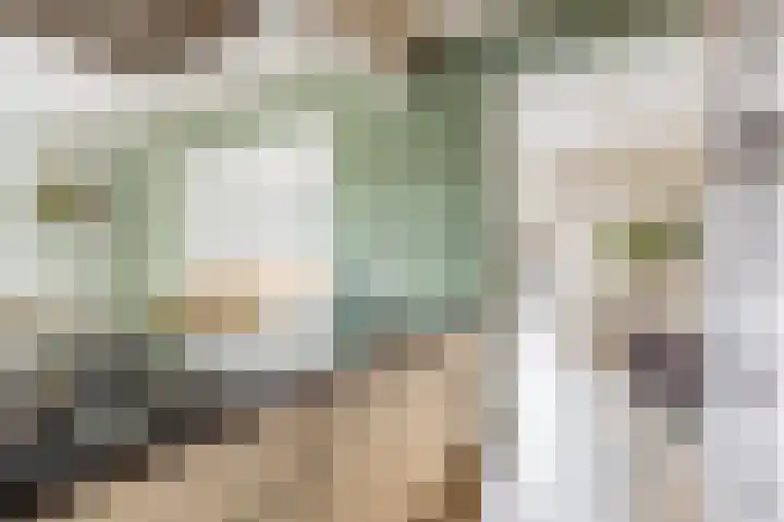 President Kennedylaan 19 Uden thumbnail 13