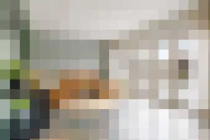 President Kennedylaan 19 Uden thumbnail 15