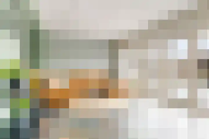President Kennedylaan 19 Uden thumbnail 17