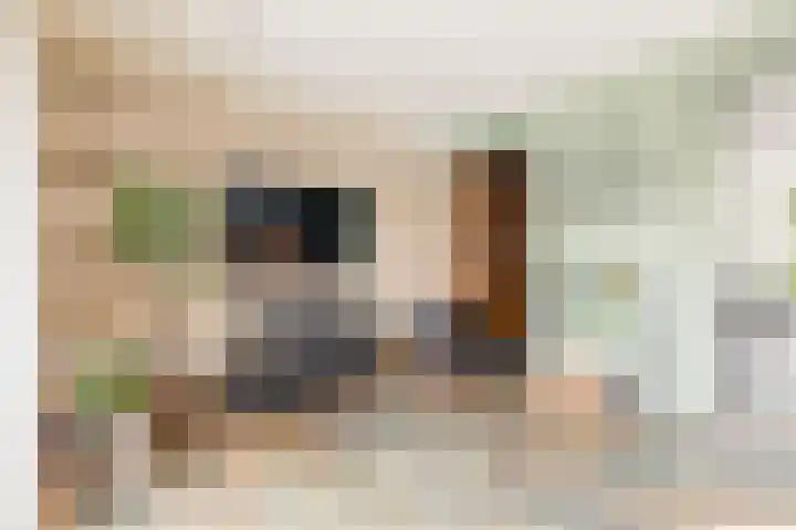 President Kennedylaan 19 Uden thumbnail 18