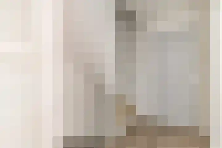 President Kennedylaan 19 Uden thumbnail 22