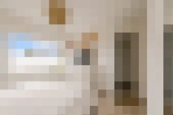 President Kennedylaan 19 Uden thumbnail 24