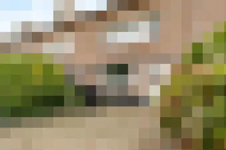 President Kennedylaan 19 Uden thumbnail 5