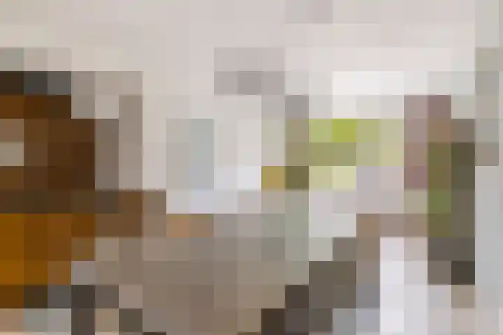 President Kennedylaan 19 Uden thumbnail 9