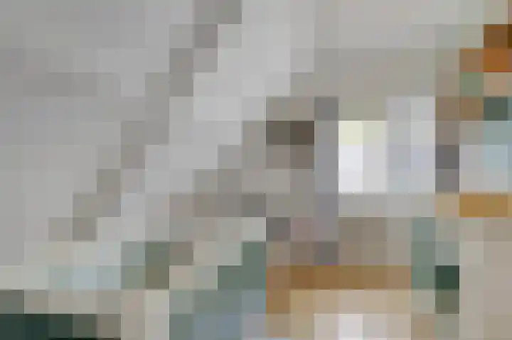 President Kennedylaan 19 Velp thumbnail 15