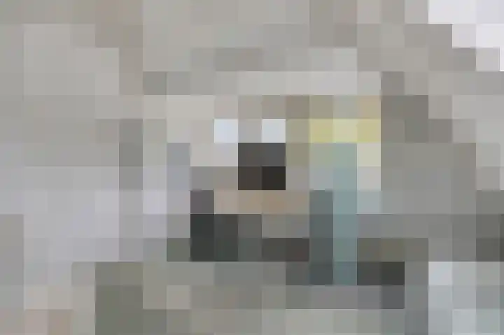 President Kennedylaan 19 Velp thumbnail 18