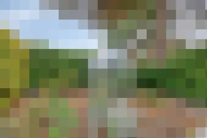 President Kennedylaan 19 Velp thumbnail 23
