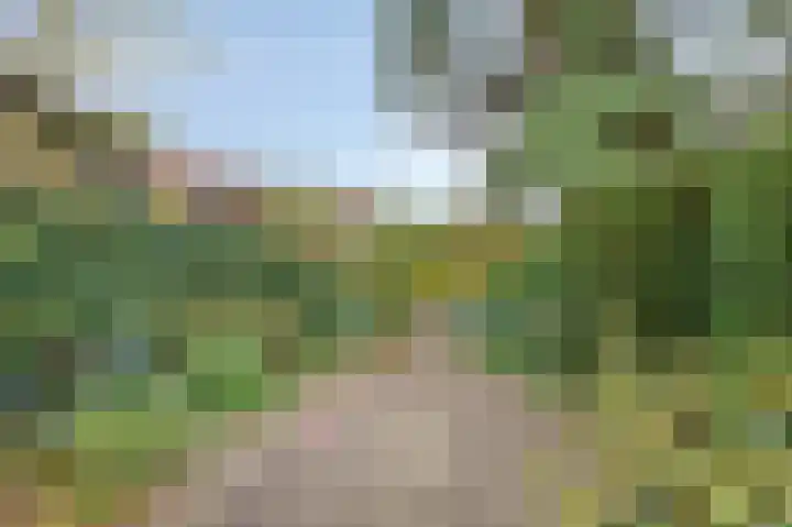 President Kennedylaan 19 Velp thumbnail 4
