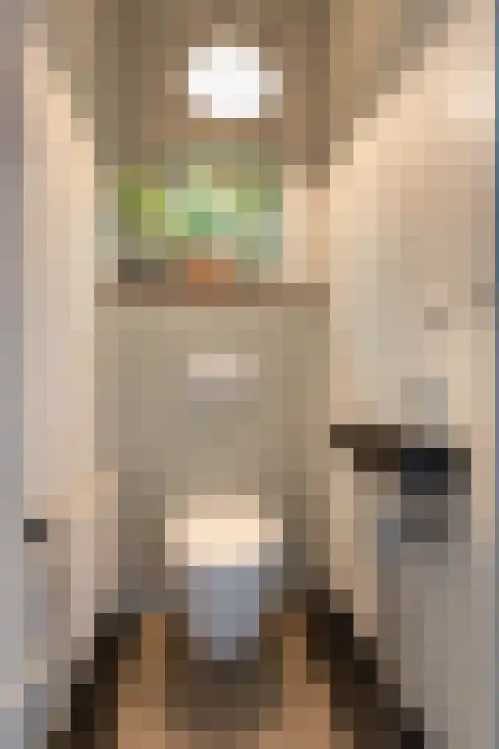 President Kennedylaan 19 Velp thumbnail 7