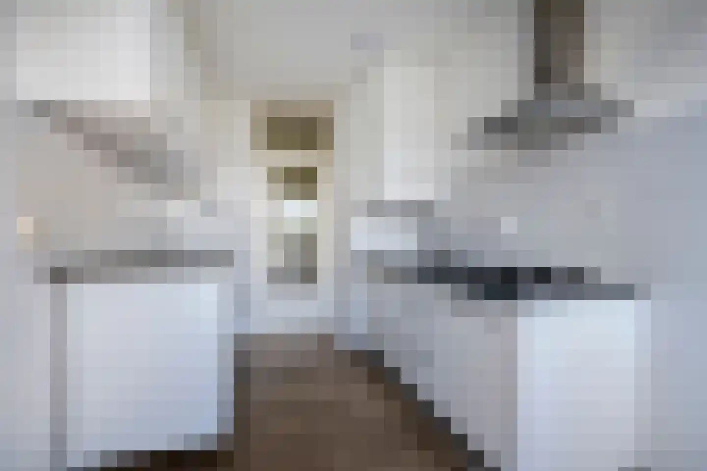 President Kennedylaan 197 Velp thumbnail 12