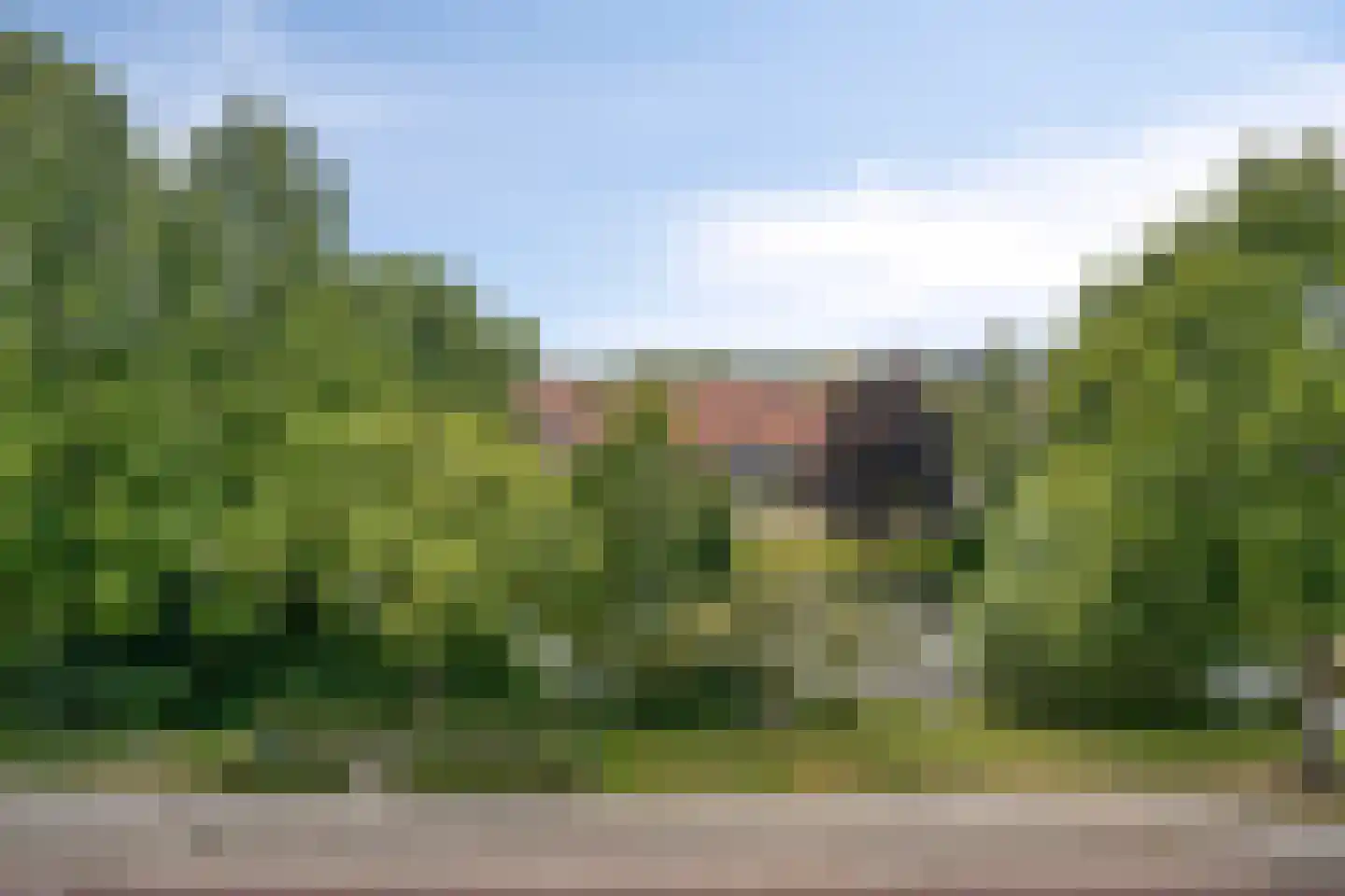President Kennedylaan 197 Velp thumbnail 30