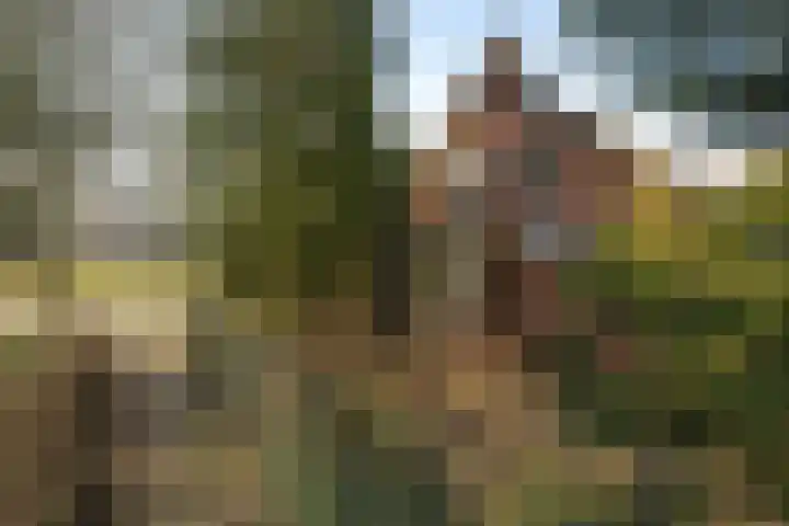 President Kennedylaan 2 Tiel thumbnail 12