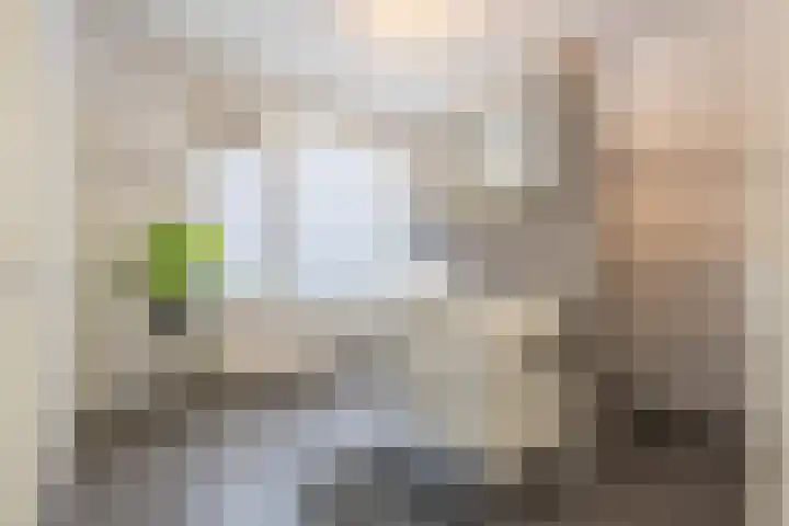 President Kennedylaan 2 Tiel thumbnail 33