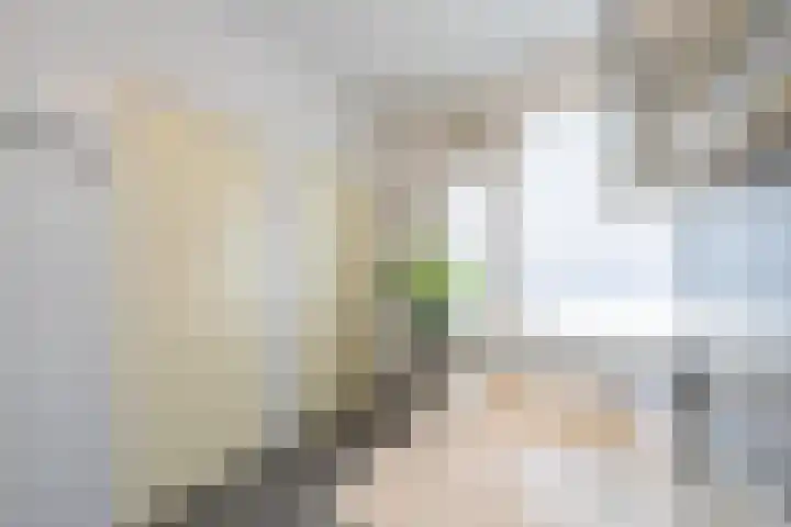 President Kennedylaan 2 Tiel thumbnail 36
