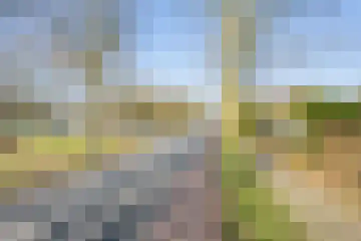 President Kennedylaan 2 Tiel thumbnail 4