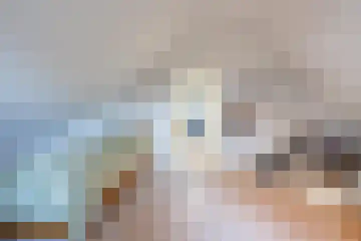 President Kennedylaan 2 Tiel thumbnail 40
