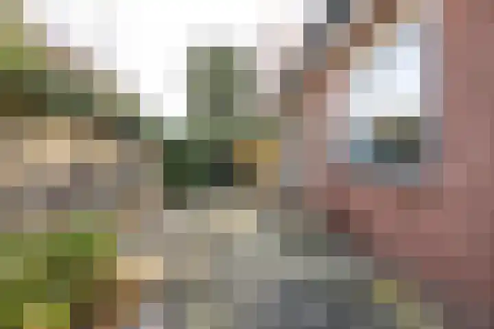 President Kennedylaan 2 Tiel thumbnail 45