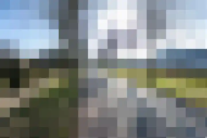 President Kennedylaan 2 Tiel thumbnail 5