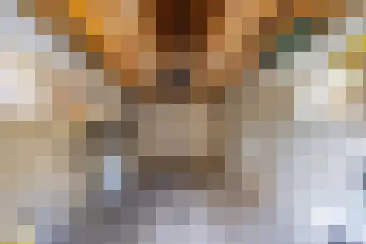 President Kennedylaan 2 Tiel thumbnail 50