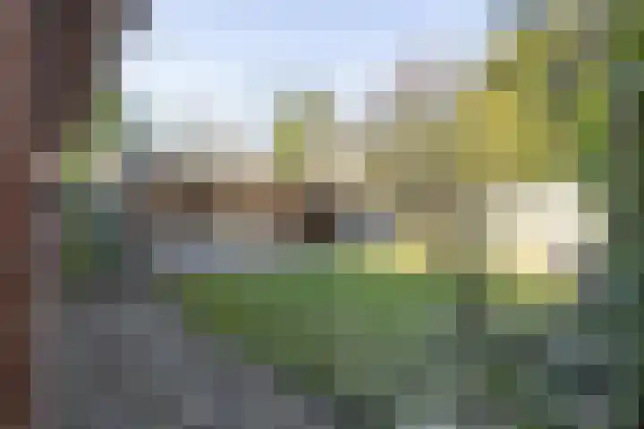 President Kennedylaan 2 Tiel thumbnail 51