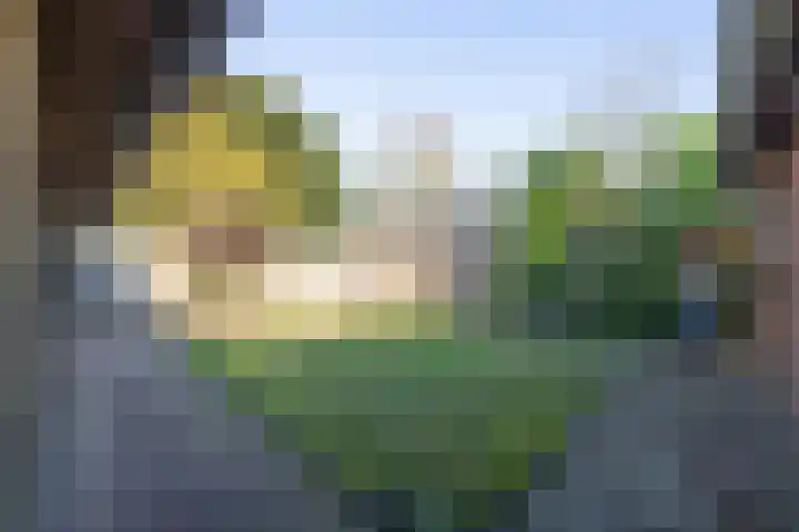 President Kennedylaan 2 Tiel thumbnail 53
