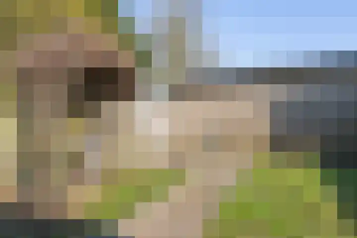 President Kennedylaan 2 Tiel thumbnail 54