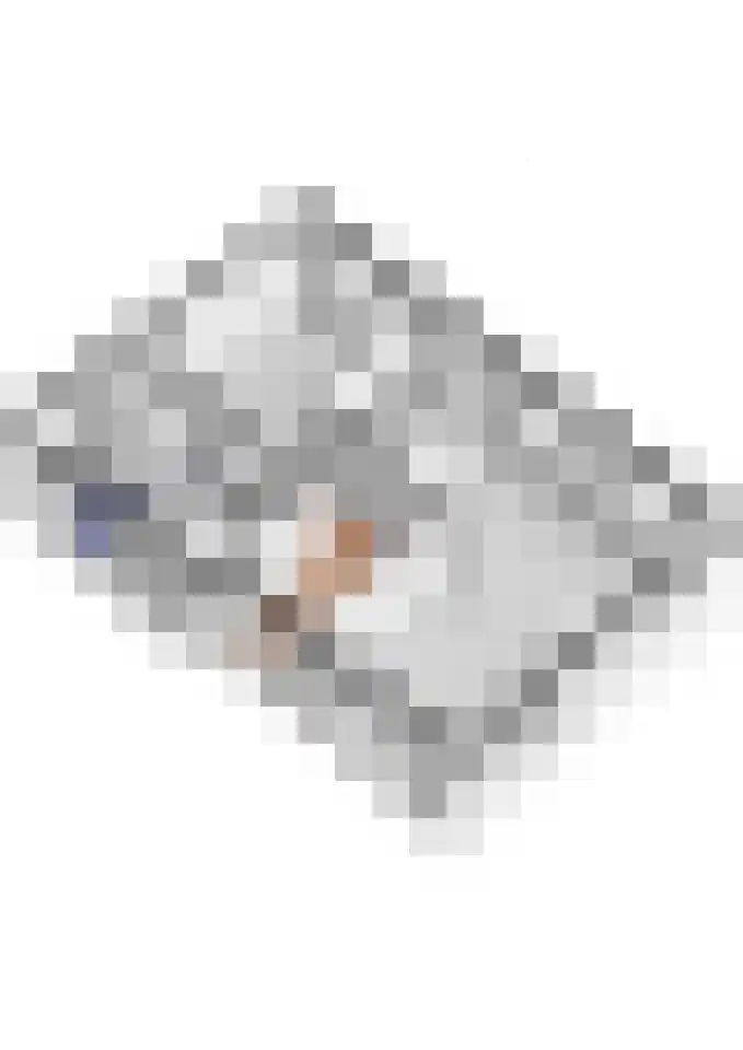 President Kennedylaan 2 Tiel thumbnail 63