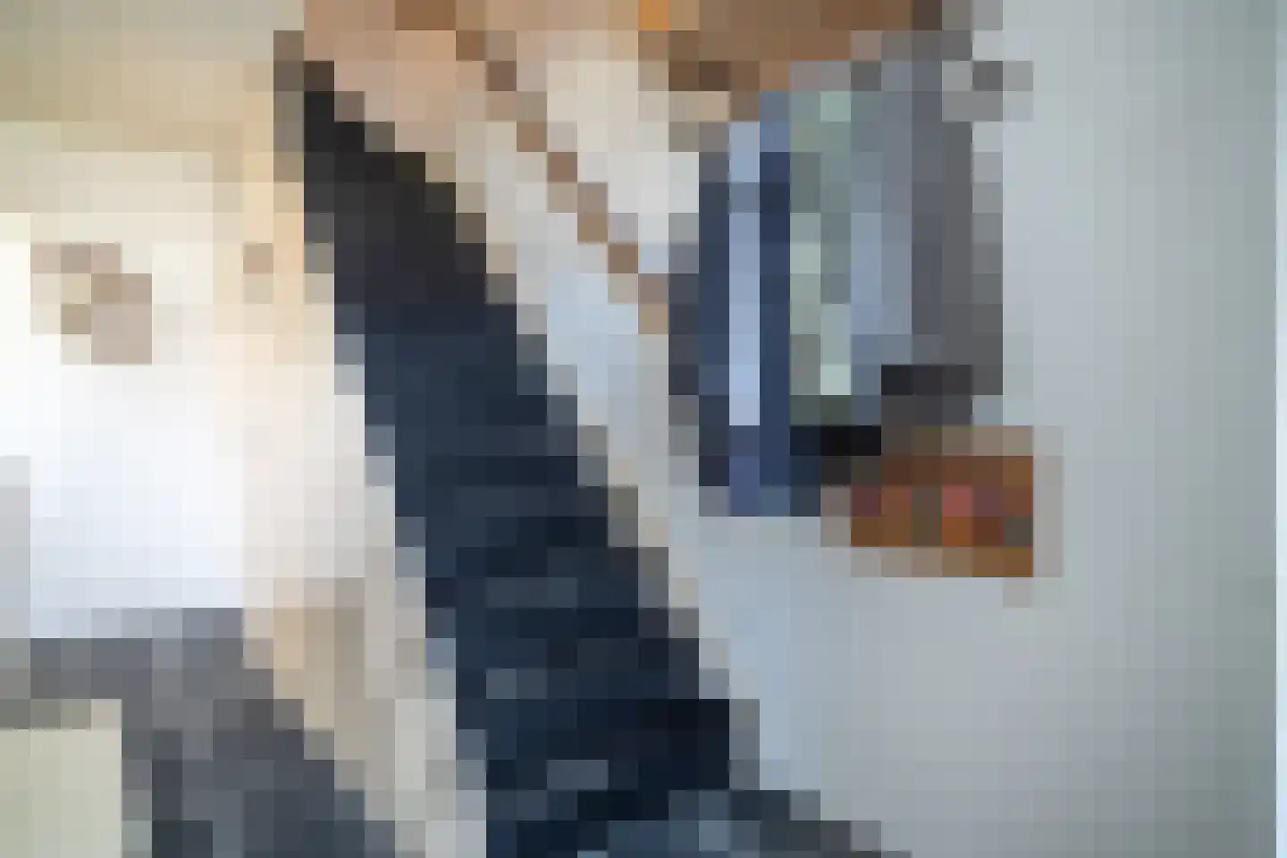 President Kennedylaan 20 Oegstgeest thumbnail 31