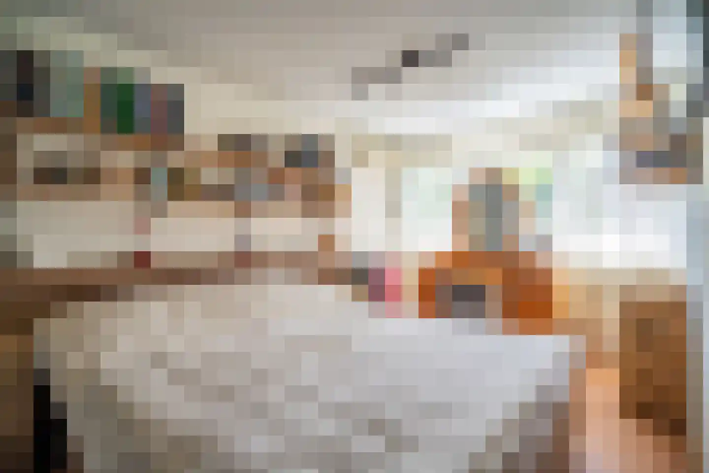 President Kennedylaan 20 Oegstgeest thumbnail 33