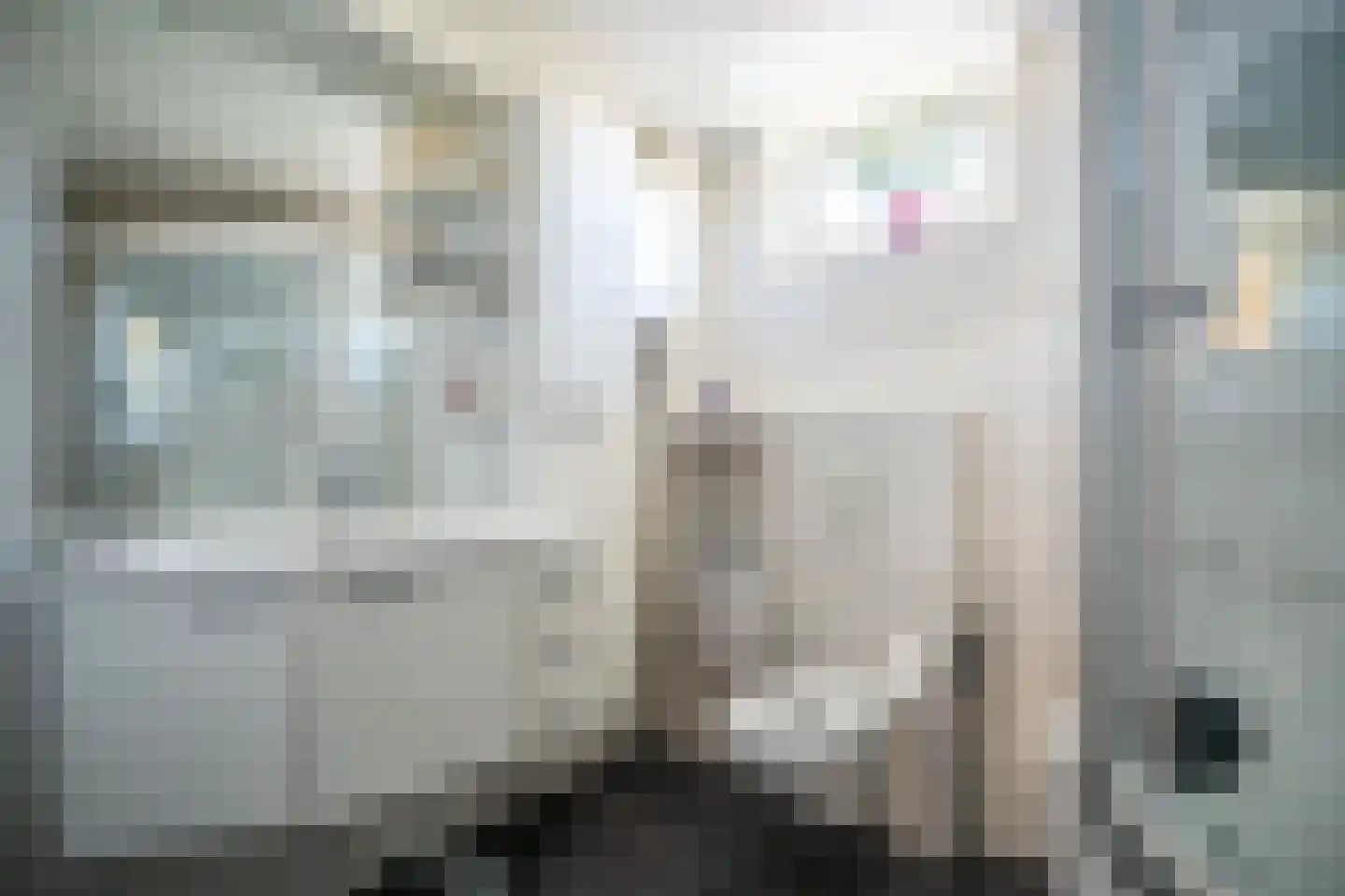 President Kennedylaan 20 Oegstgeest thumbnail 39