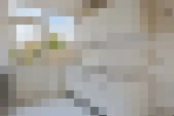 President Kennedylaan 200 Oegstgeest thumbnail 11