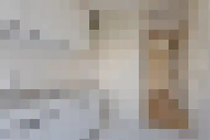 President Kennedylaan 200 Oegstgeest thumbnail 12
