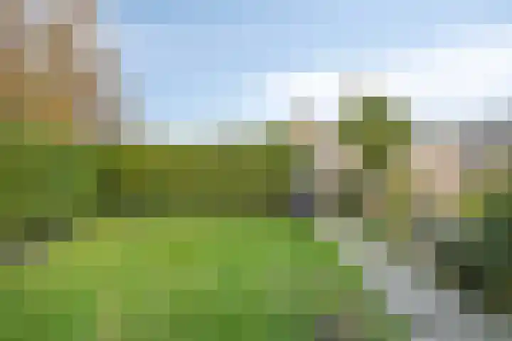 President Kennedylaan 200 Oegstgeest thumbnail 17