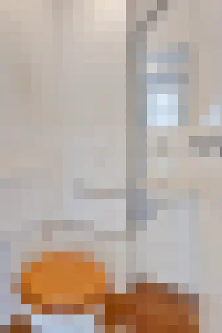 President Kennedylaan 200 Oegstgeest thumbnail 29