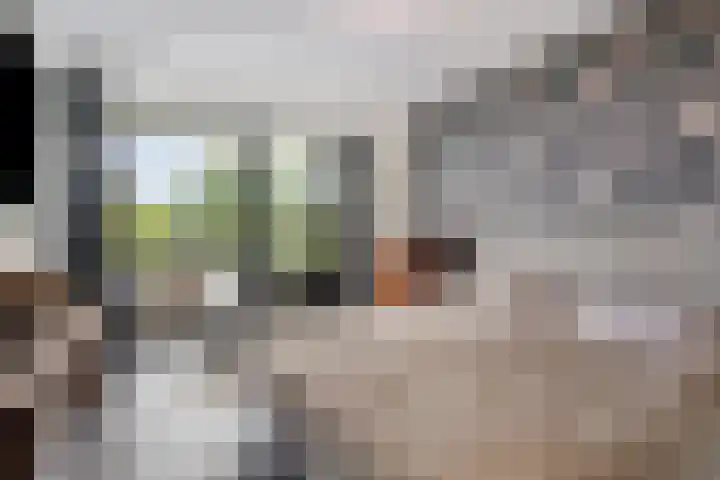 President Kennedylaan 203 Oegstgeest thumbnail 15