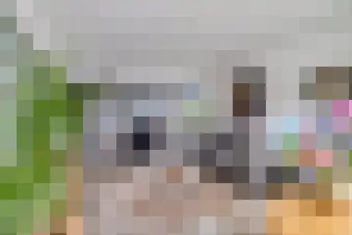 President Kennedylaan 203 Oegstgeest thumbnail 7