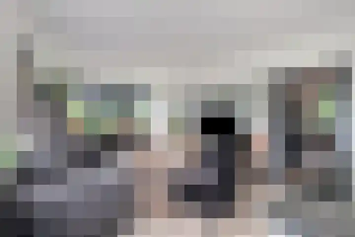 President Kennedylaan 203 Oegstgeest thumbnail 9