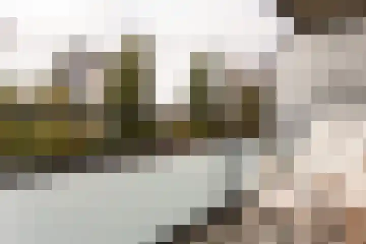 President Kennedylaan 205 Oegstgeest thumbnail 17