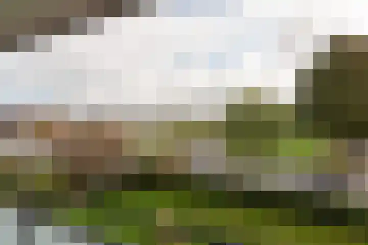 President Kennedylaan 205 Oegstgeest thumbnail 18