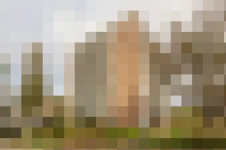 President Kennedylaan 205 Oegstgeest thumbnail 20
