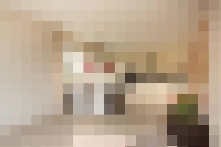 President Kennedylaan 205 Oegstgeest thumbnail 8