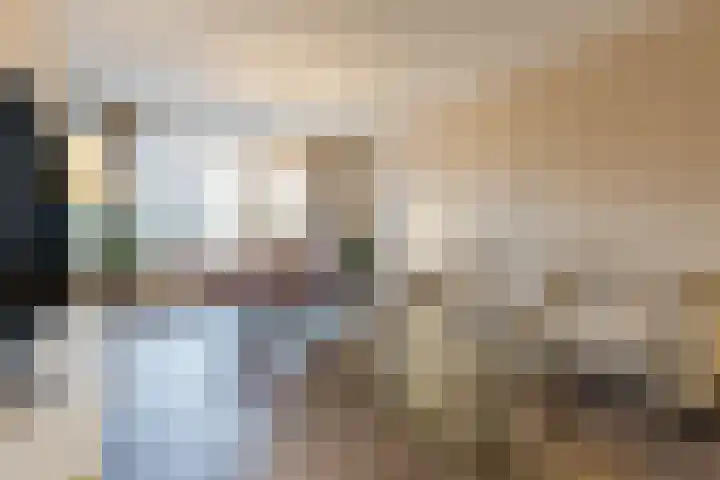 President Kennedylaan 207 Oegstgeest thumbnail 16