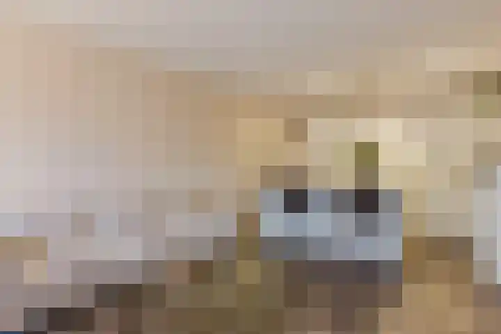 President Kennedylaan 207 Oegstgeest thumbnail 20
