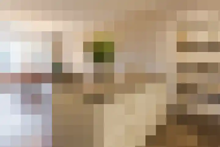 President Kennedylaan 207 Oegstgeest thumbnail 25