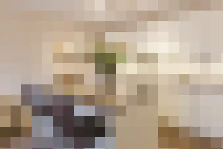 President Kennedylaan 207 Oegstgeest thumbnail 26