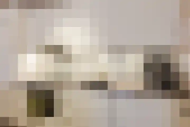President Kennedylaan 207 Oegstgeest thumbnail 27