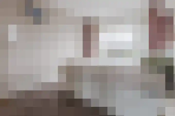 President Kennedylaan 207 Oegstgeest thumbnail 29