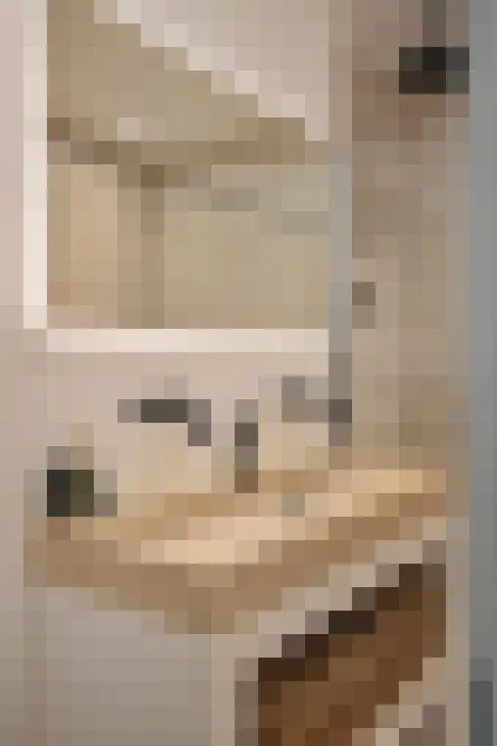 President Kennedylaan 222 2 Amsterdam thumbnail 25